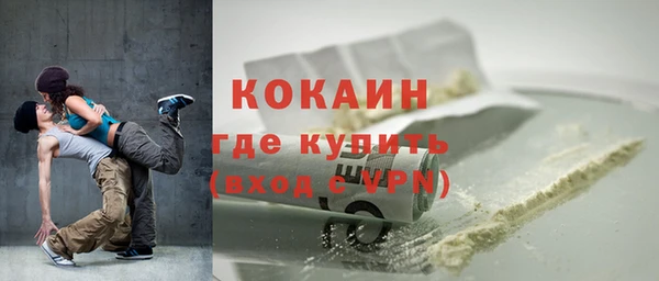 стаф Богданович