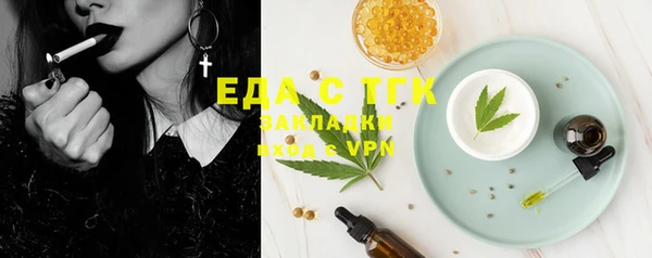 стаф Богданович