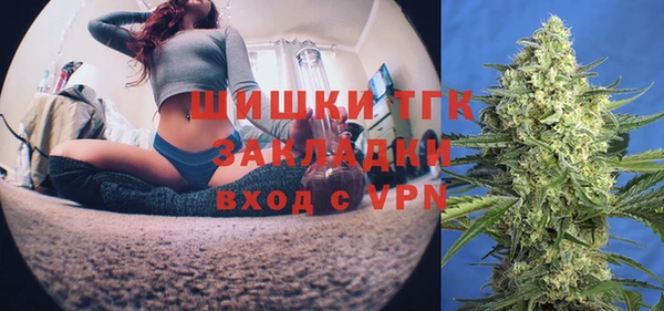 стаф Богданович